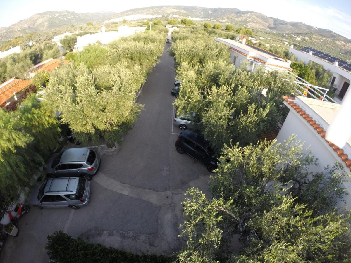 Residence Adriatico Mattinata Exterior foto
